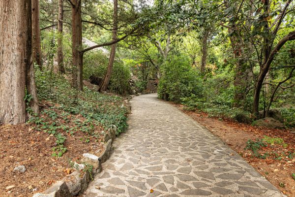 Stone Walkway Repair in Sanford