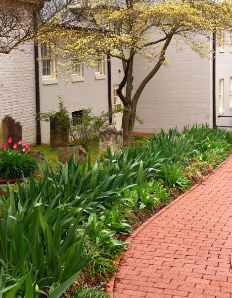 Brick Flatwork Repair in Sanford